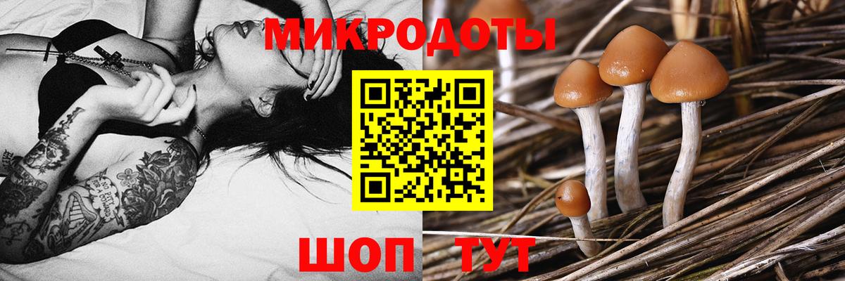 Шахты  Галлюциногенные грибы MAGIC MUSHROOMS  Вход с VPN 